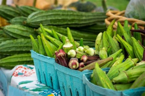  Okra:  An Abundant Source for Sustainable Fiber and Biodegradable Packaging?