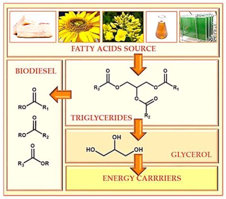 Glycerol: อาวุธลับในการผลิตไบโอดีเซลและความงามที่เป็นมิตรกับสิ่งแวดล้อม!