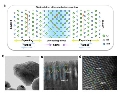 Li-Rich Cathode Materials: Unleashing a New Era of High-Energy Density Batteries!