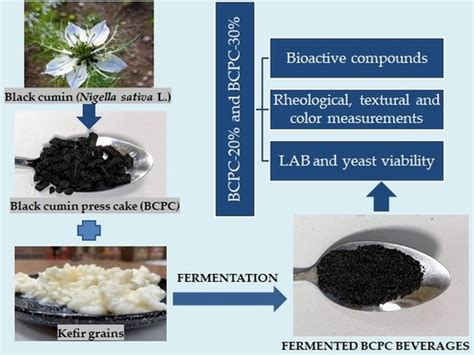  Nigella Seeds: การสกัดน้ำมันและการใช้เป็นส่วนผสมในอาหารฟังก์ชันแนล!