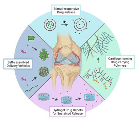 Polyethylene Glycol: Biocompatible Wonder Material for Drug Delivery and Tissue Engineering?