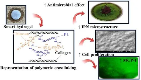  Dextran:  Biopolymer Marvel for Controlled Drug Release and Biocompatible Tissue Engineering Applications!