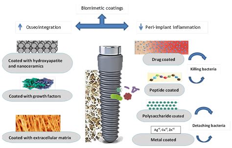  Jacksonville Composite: Revolutionary Material for Advanced Medical Implants and Tissue Engineering!