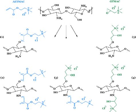 Quaternized Chitosan: การปฏิวัติวงการวัสดุทางชีวภาพด้วยคุณสมบัติพิเศษที่โดดเด่น!